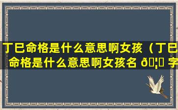 丁巳命格是什么意思啊女孩（丁巳命格是什么意思啊女孩名 🦊 字）